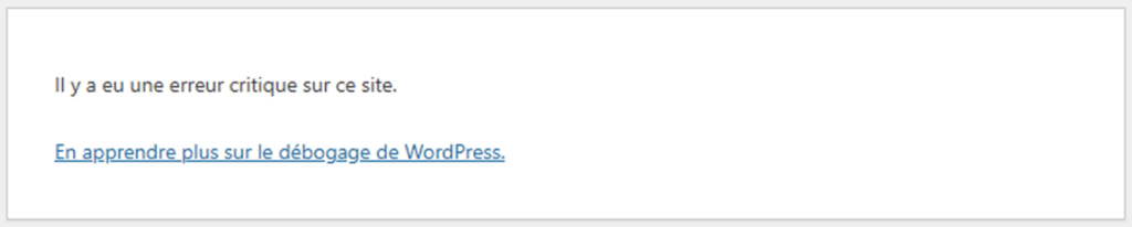 Cette page représente une erreur 500 affichée par WordPress